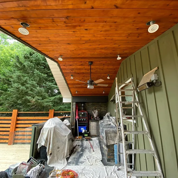 Benjamin Moore Mountain Moss exterior color