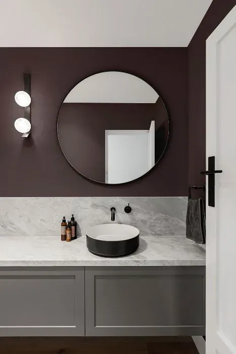 Benjamin Moore Mountain Ridge minimalist bathroom