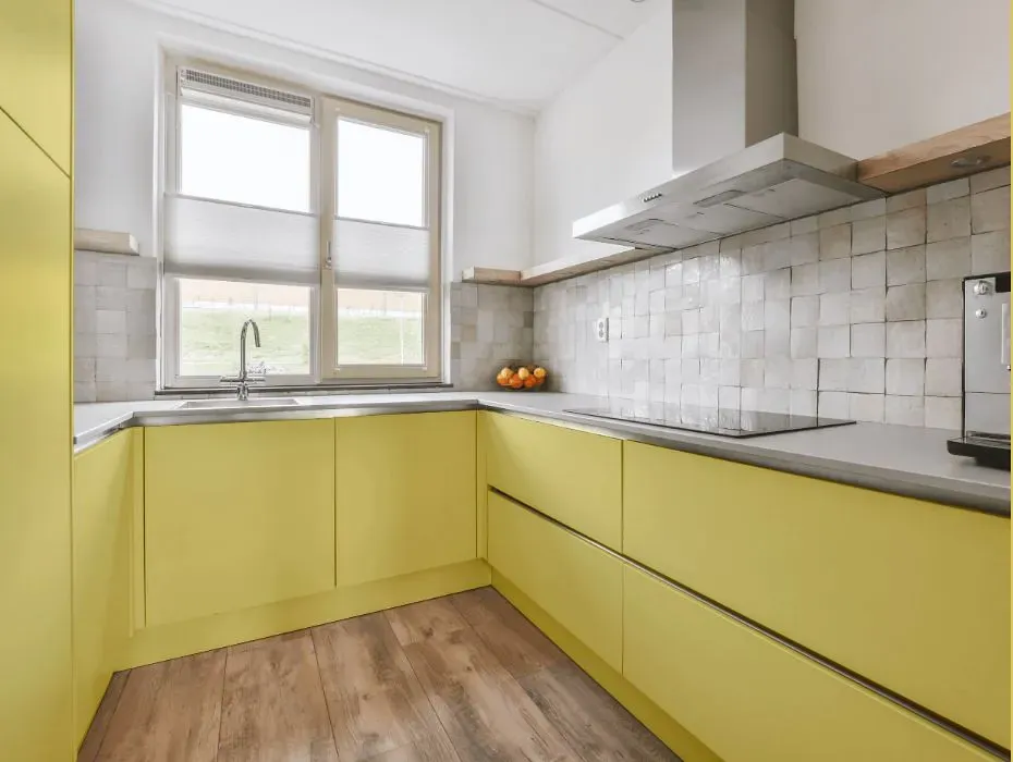 Benjamin Moore Mulholland Yellow small kitchen cabinets