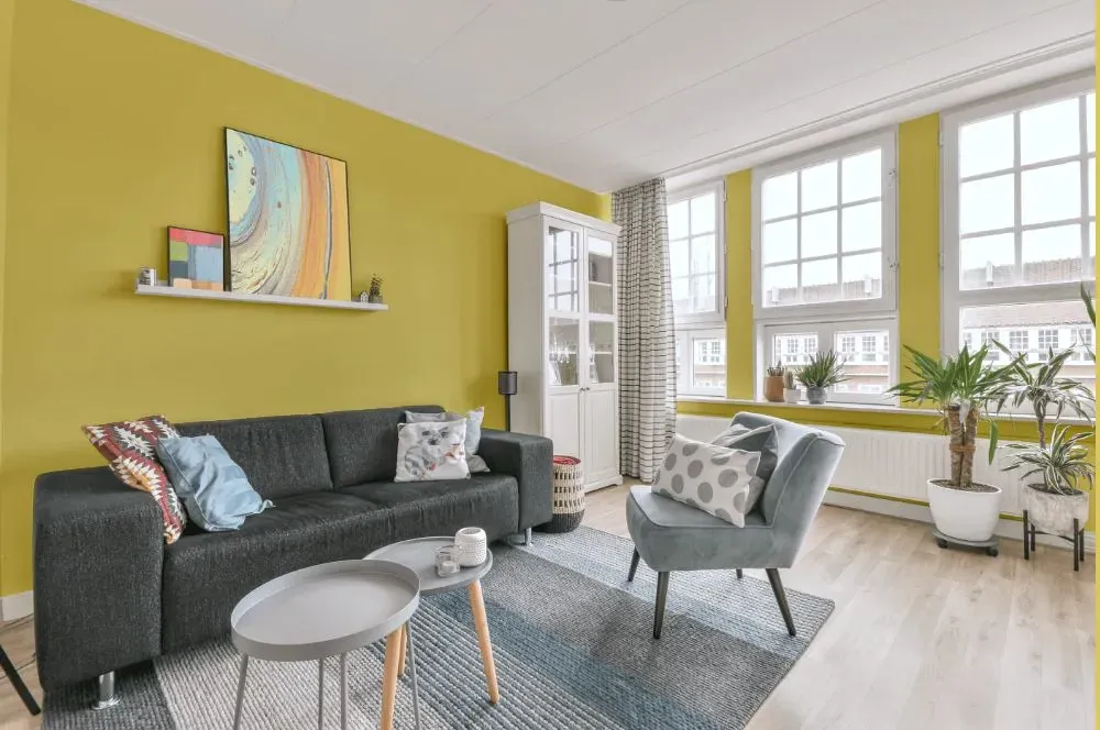 Benjamin Moore Mulholland Yellow living room walls