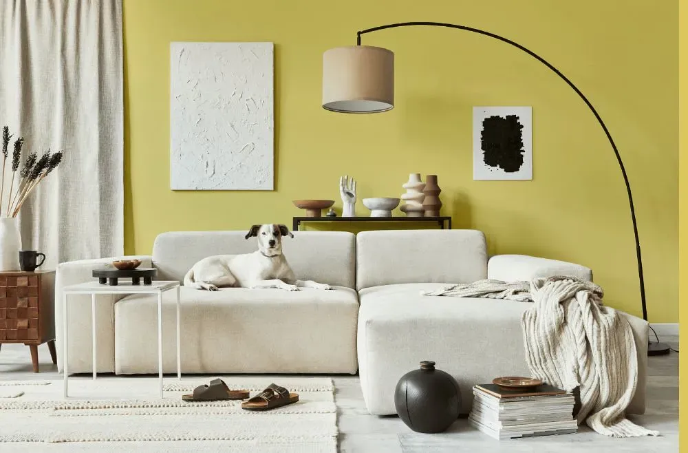 Benjamin Moore Mulholland Yellow cozy living room