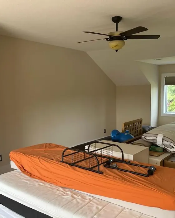 Benjamin Moore Muslin bedroom color