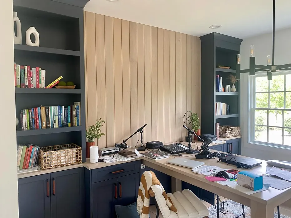 Benjamin Moore AF-565 home office 