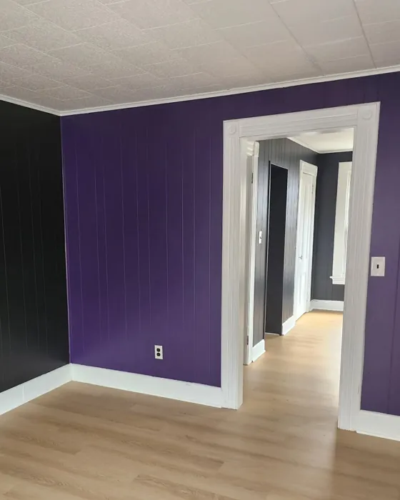 Benjamin Moore Mystical Grape wall paint color