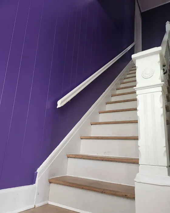 Benjamin Moore Mystical Grape hallway paint