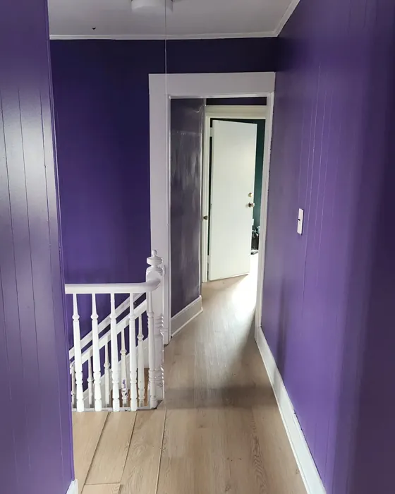 Mystical Grape hallway paint