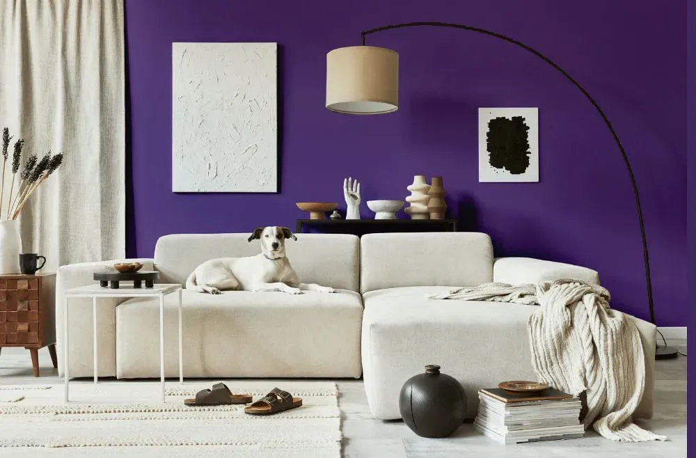 Benjamin Moore Mystical Grape cozy living room