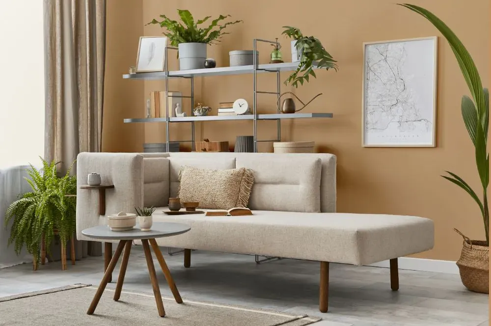 Benjamin Moore Natural Leather living room