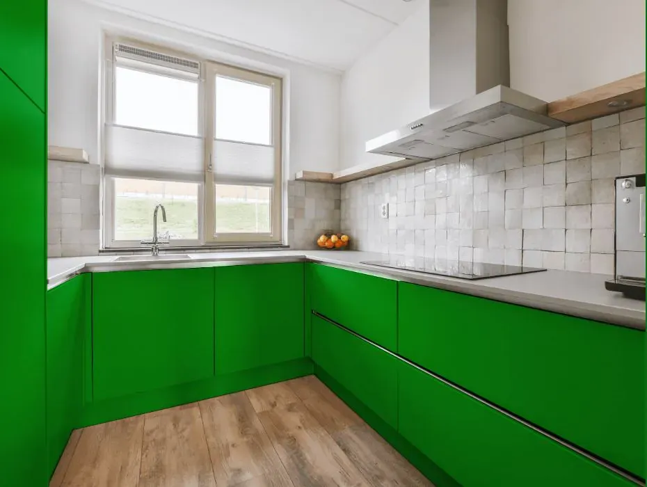 Benjamin Moore Neon Green small kitchen cabinets