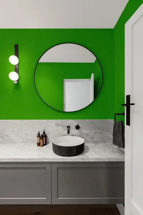 Benjamin Moore Neon Lime minimalist bathroom