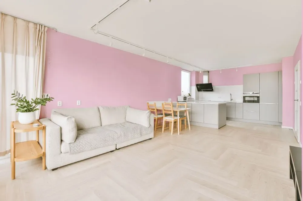 Benjamin Moore Newborn Pink living room interior