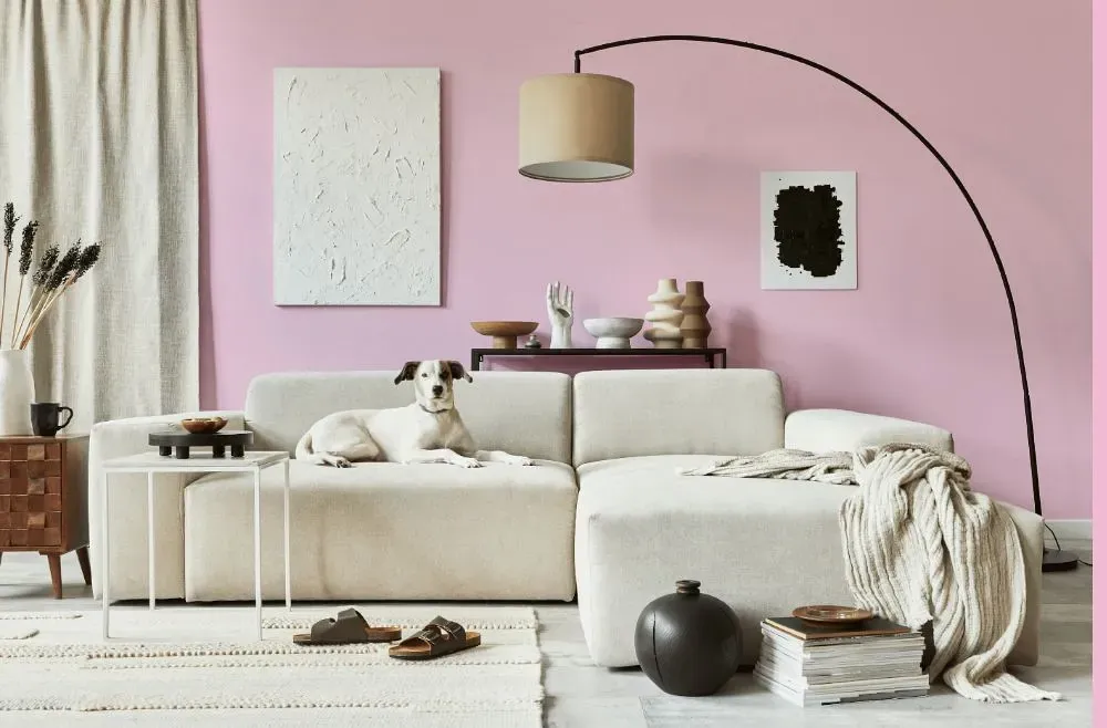 Benjamin Moore Newborn Pink cozy living room