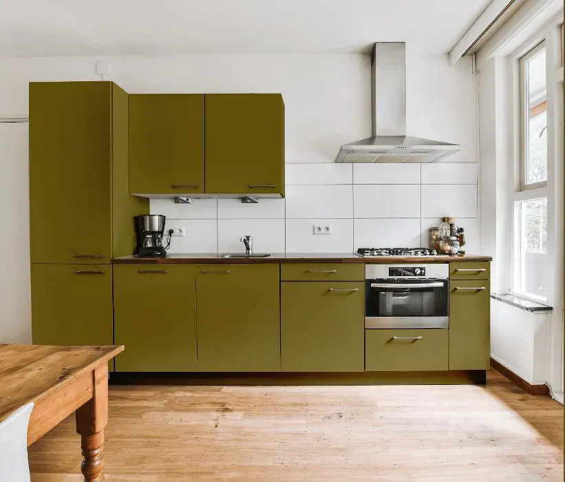 Benjamin Moore Newt Green kitchen cabinets