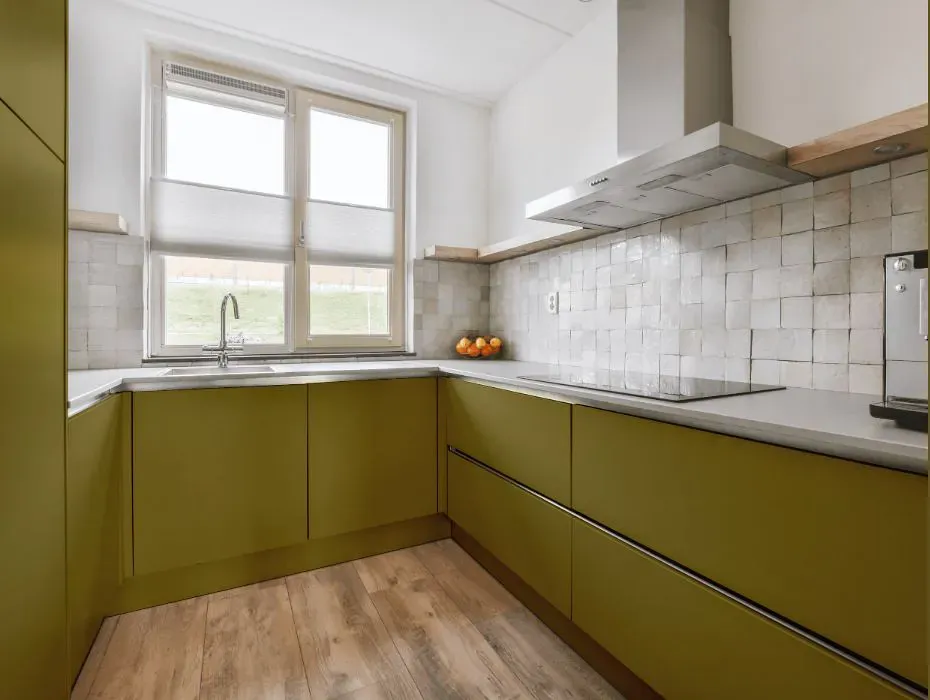 Benjamin Moore Newt Green small kitchen cabinets