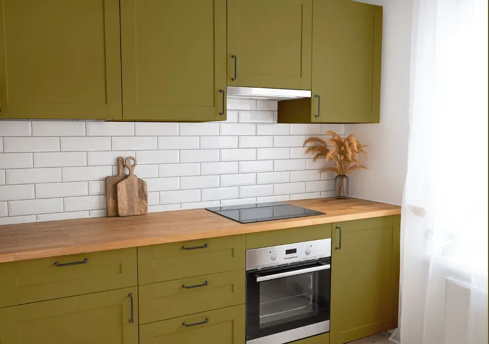 Benjamin Moore Newt Green kitchen cabinets
