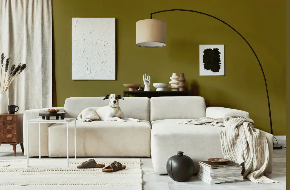 Benjamin Moore Newt Green cozy living room