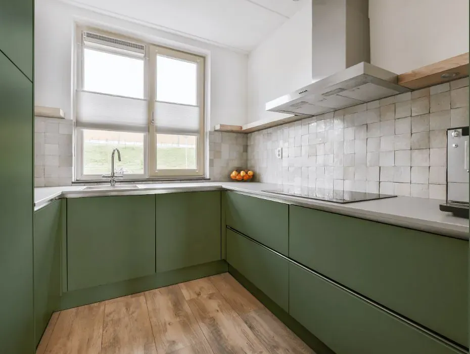 Benjamin Moore Nicolson Green small kitchen cabinets