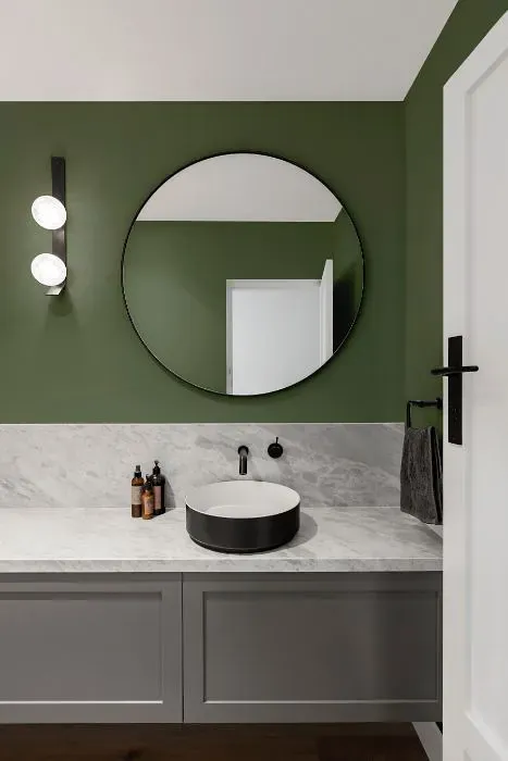 Benjamin Moore Nicolson Green minimalist bathroom