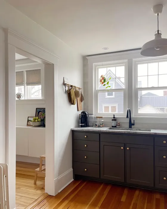 Benjamin Moore Night Owl kitchen cabinets 