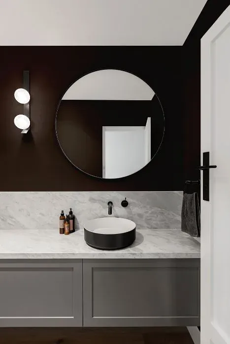 Benjamin Moore Night Shade minimalist bathroom