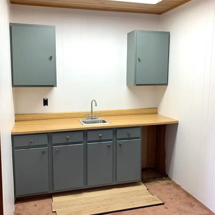 Benjamin Moore Night Train kitchen cabinets 