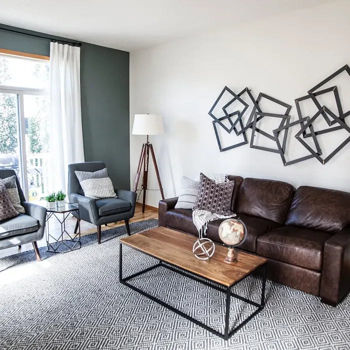 Benjamin Moore Night Train living room accent wall