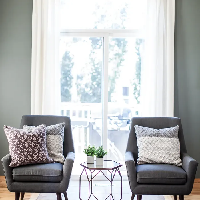 Benjamin Moore Smoky Mountain living room accent wall