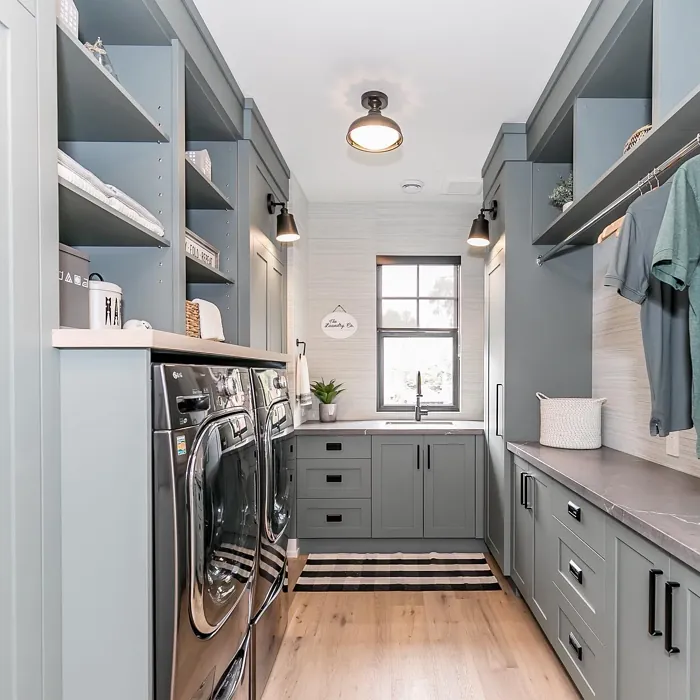 Benjamin Moore Night Train laundry room 