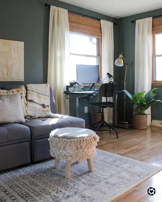 Benjamin Moore Night Train living room 