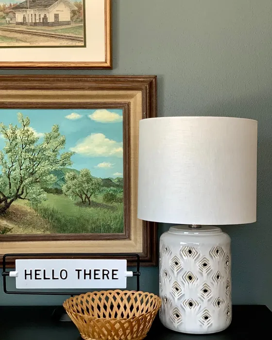 Benjamin Moore Night Train living room paint review