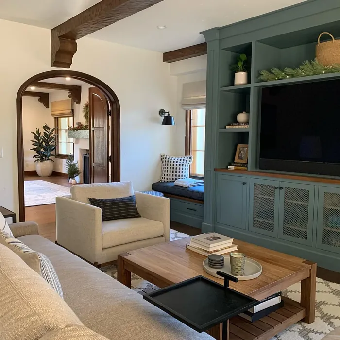 Benjamin Moore Night Train living room storage