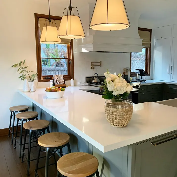 Benjamin Moore Night Train kitchen cabinets 