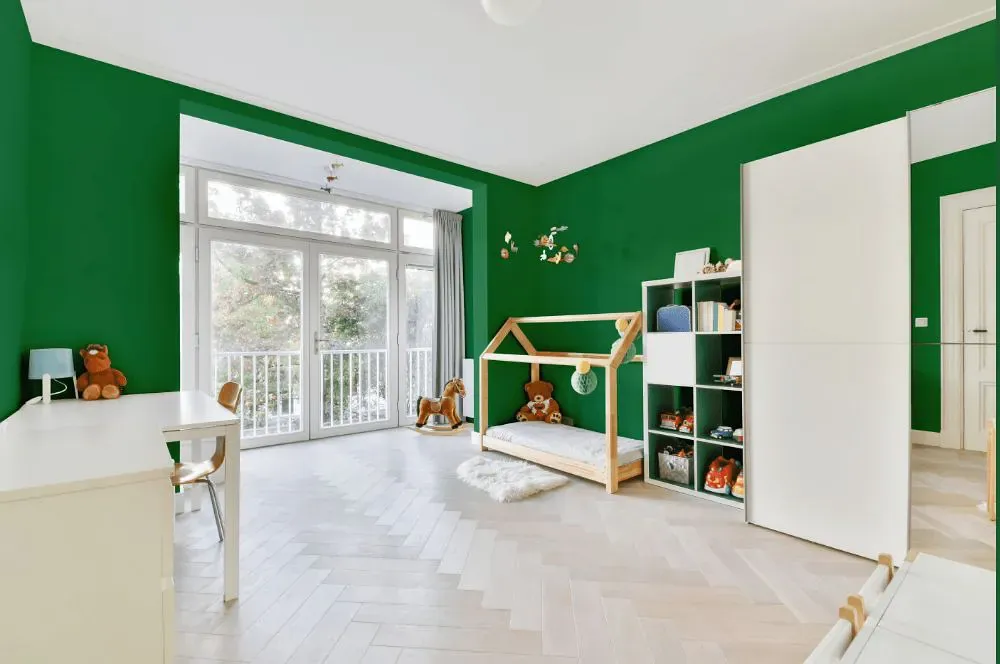 Benjamin Moore Nile Green kidsroom interior, children's room