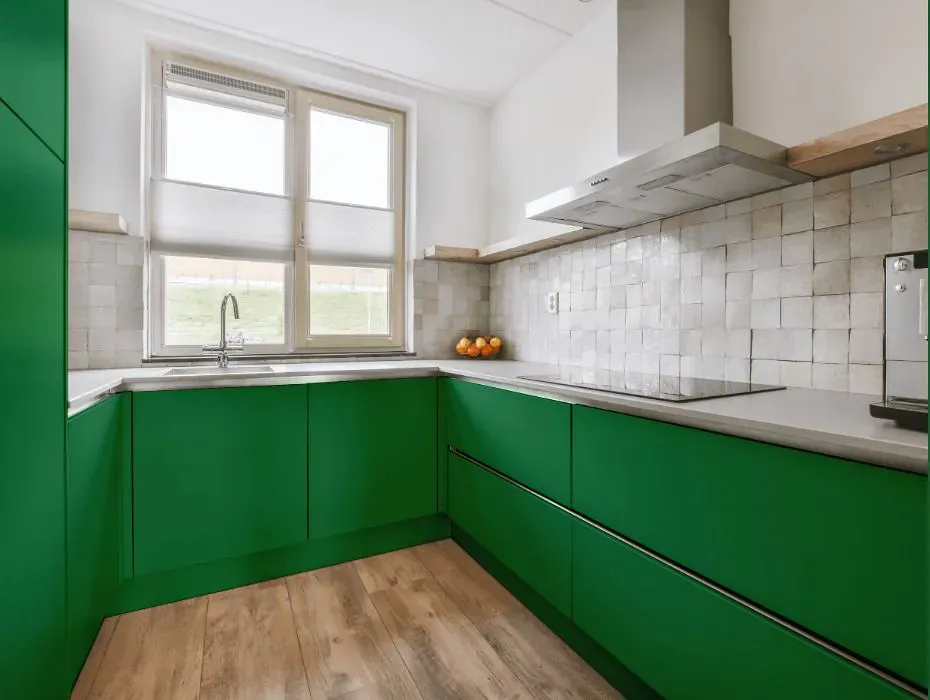 Benjamin Moore Nile Green small kitchen cabinets