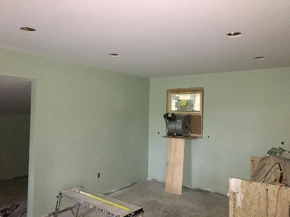 Nob Hill Sage wall paint review