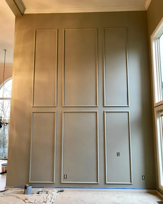 Northern Cliffs wall paint color