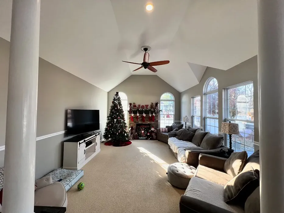 Benjamin Moore Northern Cliffs living room paint