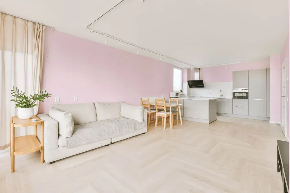 Benjamin Moore Nursery Pink living room interior