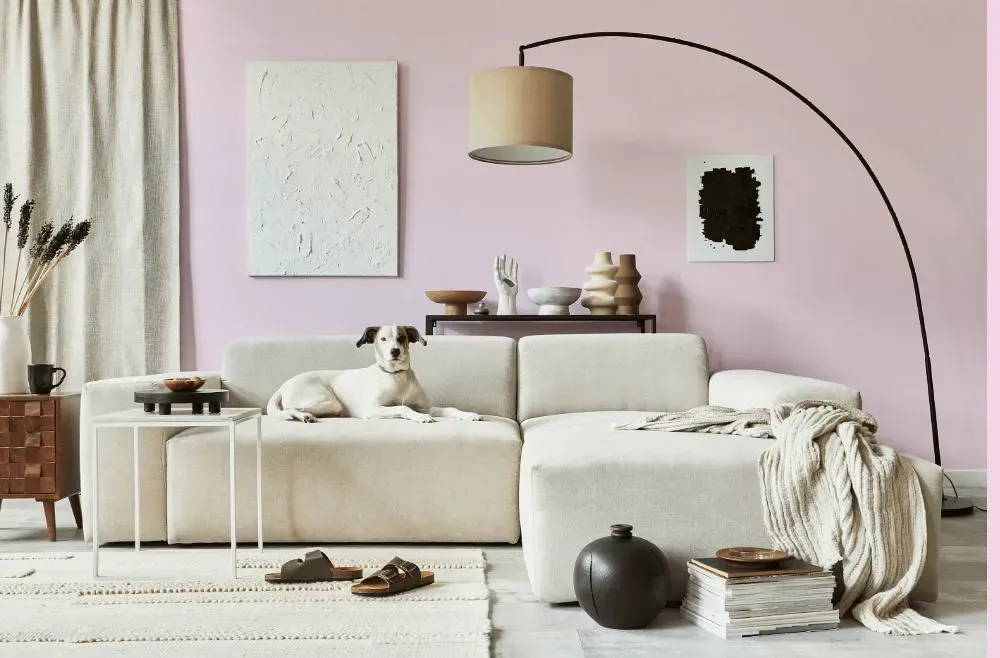 Benjamin Moore Nursery Pink cozy living room