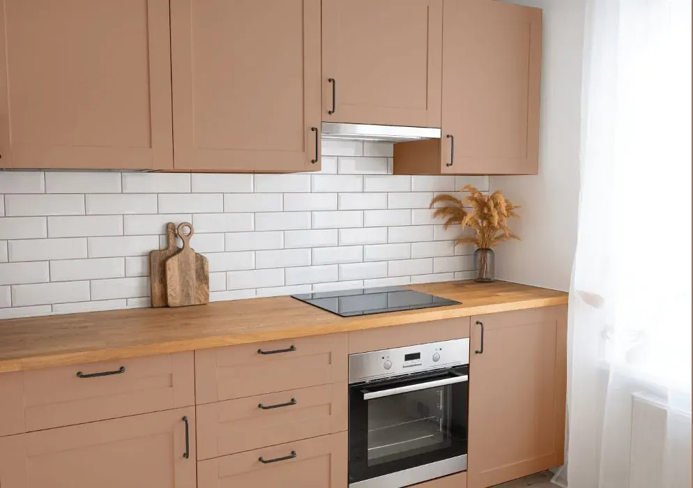 Benjamin Moore Nutmeg kitchen cabinets