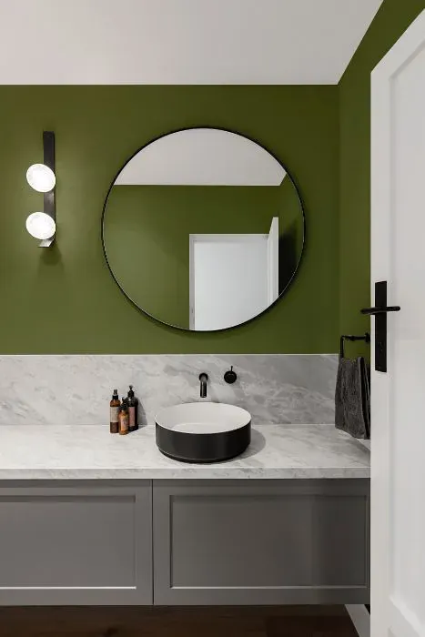 Benjamin Moore Oak Grove minimalist bathroom