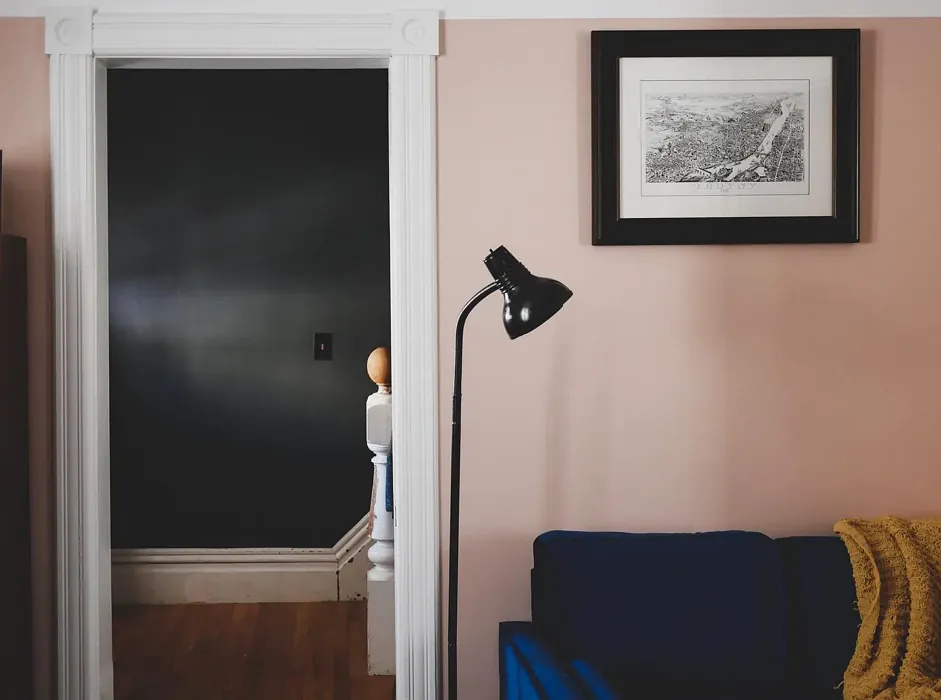 Benjamin Moore Odessa Pink living room paint review