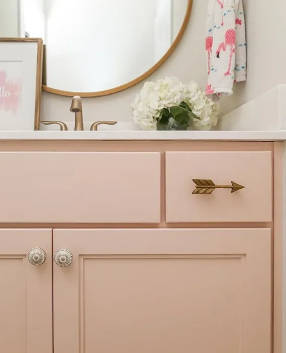 Benjamin Moore Odessa Pink bathroom vanity review