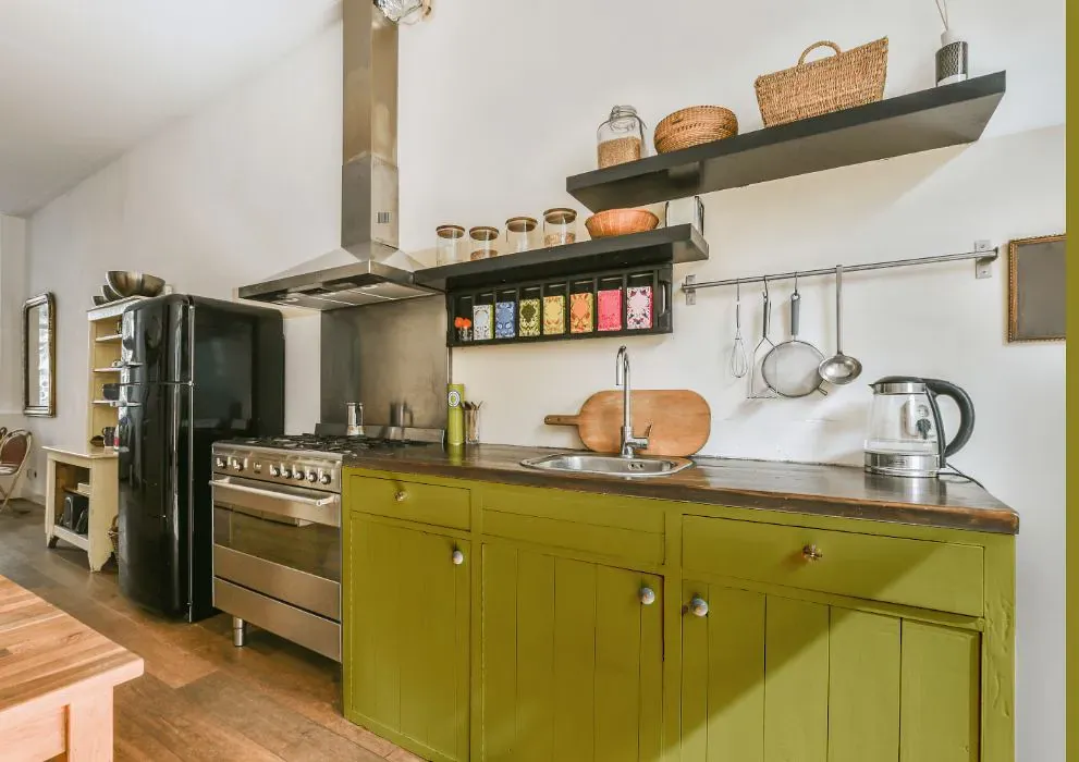 Benjamin Moore Olive Tree kitchen cabinets