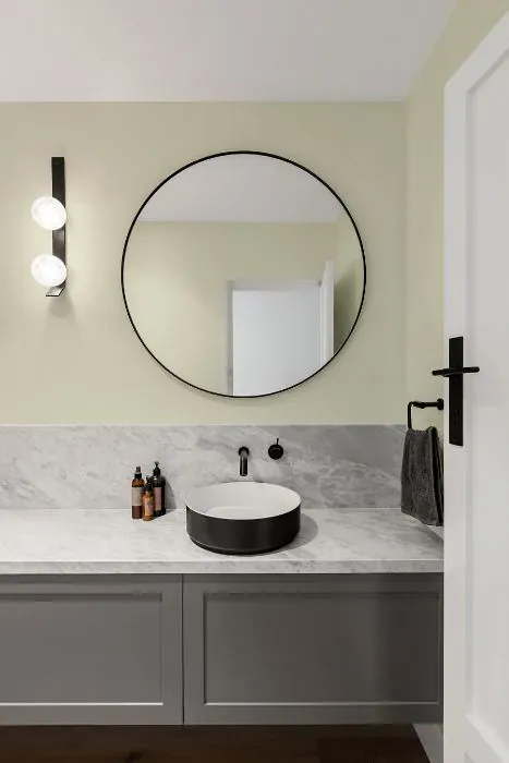 Benjamin Moore Olivetint minimalist bathroom