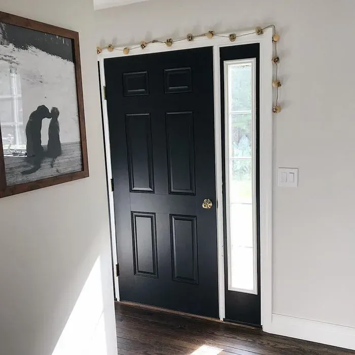 Bm Onyx Front Door