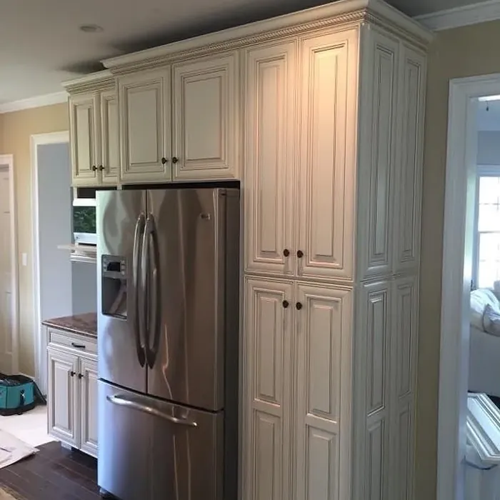 Benjamin Moore Opaline kitchen cabinets 