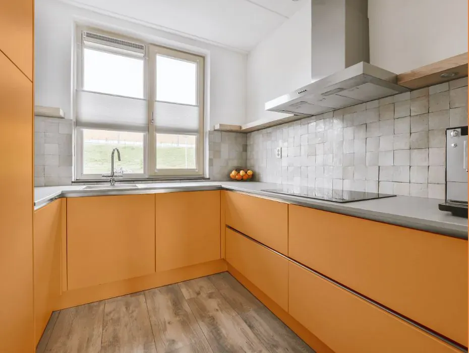 Benjamin Moore Orange Appeal small kitchen cabinets