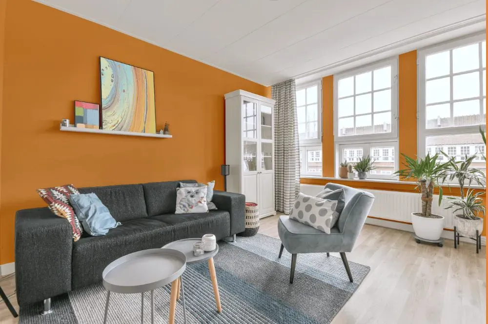 Benjamin Moore Orange Appeal living room walls