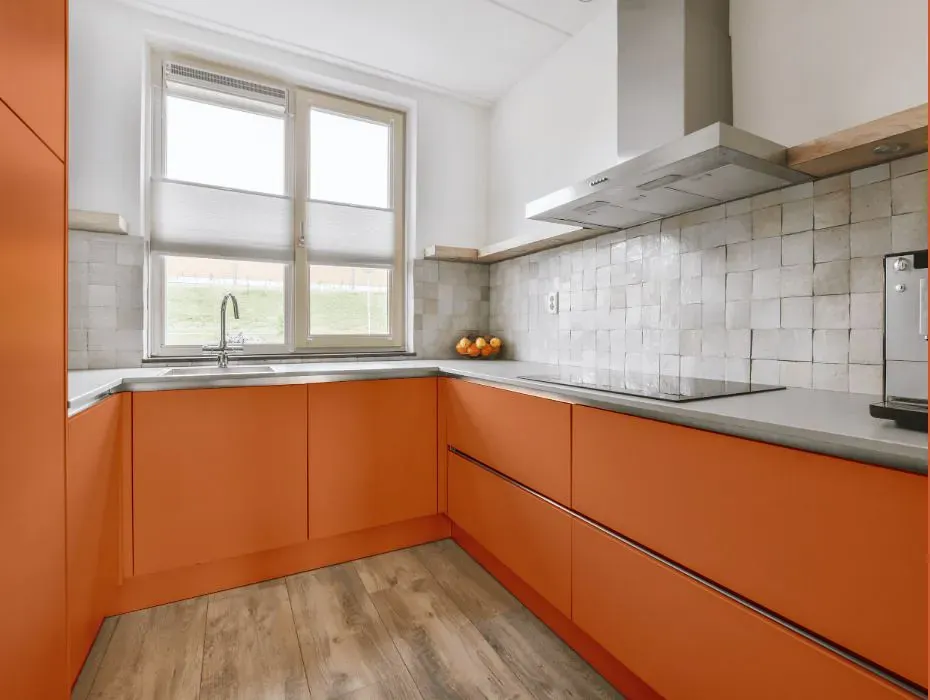 Benjamin Moore Orange Blossom small kitchen cabinets